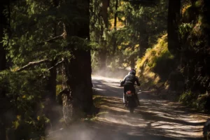 Royal Enfield 2024